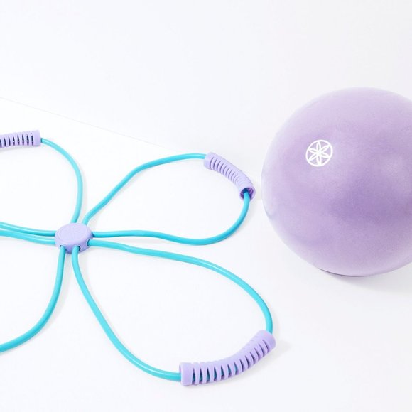 🆕 Gaiam Ultimate Core Toning Kit in Purple and Blue - Picture 3 of 4